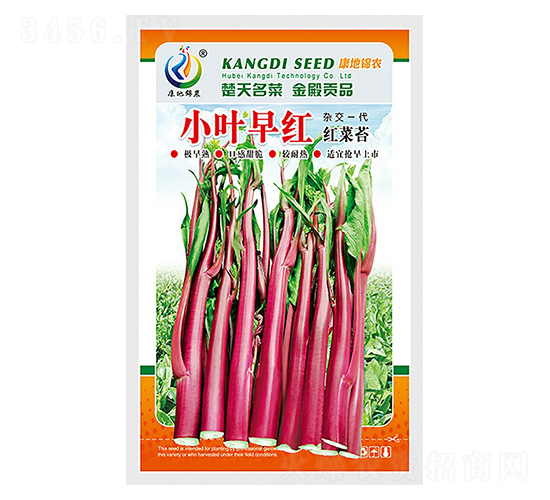 С�~��t-��޷�N��-���ؿƼ�