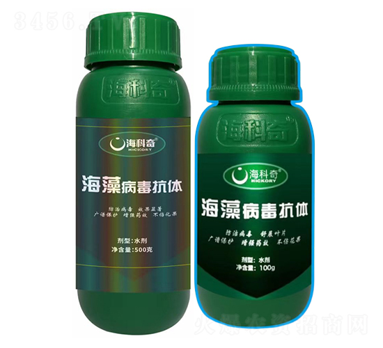 ���岡�����w-������