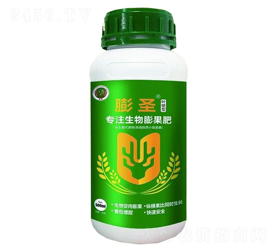 ��ʥ�~����-��ɽ����