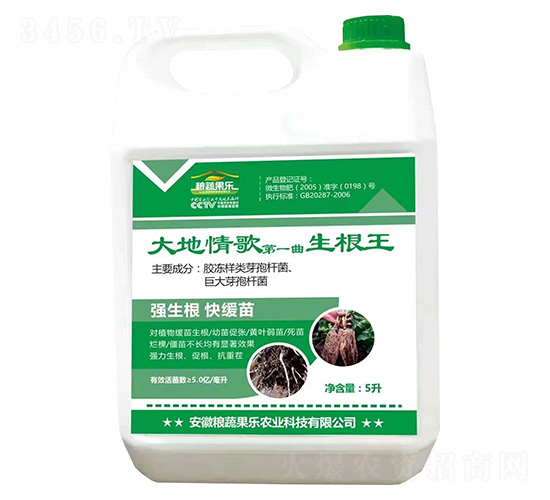 ������-�Z�߹���