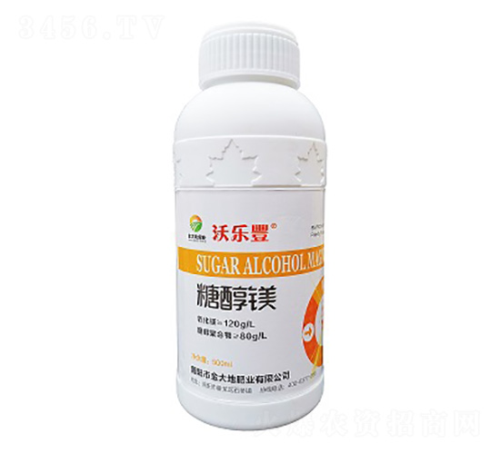 �Ǵ��V-�֘��S-���طʘI(y��)