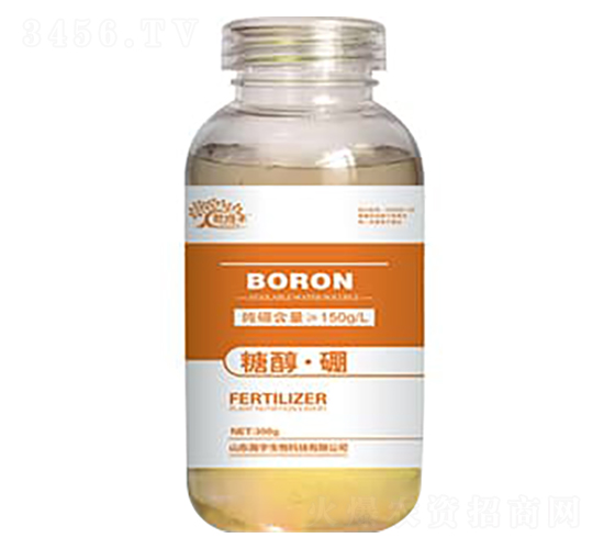 �Ǵ���-����S-�������