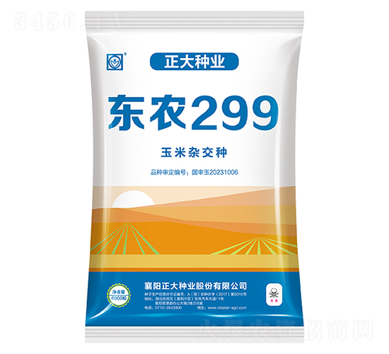 東農(nóng)299-玉米種子-正大種業(yè)