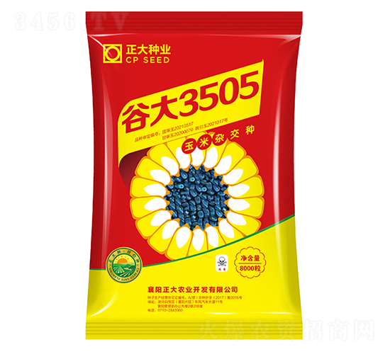 谷大3505-玉米種子-正大種業(yè)
