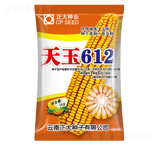 天玉612-玉米種子-正大種業(yè)