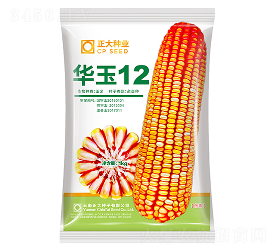 華玉12-玉米種子-正大種業(yè)