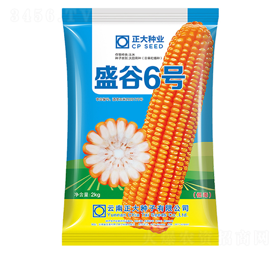 盛谷6號-玉米種子-正大種業(yè)