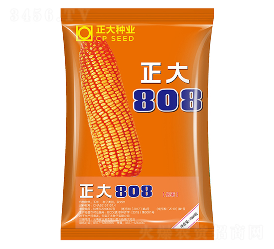 ����808-���׷N��-����N�I(y��)