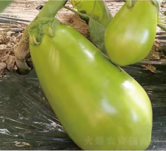 �͝��G��1̖(h��o)-���ӷN��-�͝��r(n��ng)�I(y��)