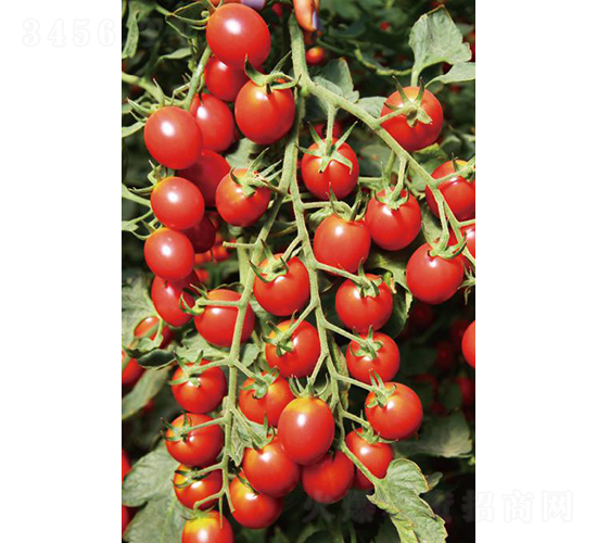 �hķ1507-���ѷN��-�͝��r(n��ng)�I(y��)