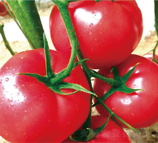 �hķ099-���ѷN��-�͝��r(n��ng)�I(y��)