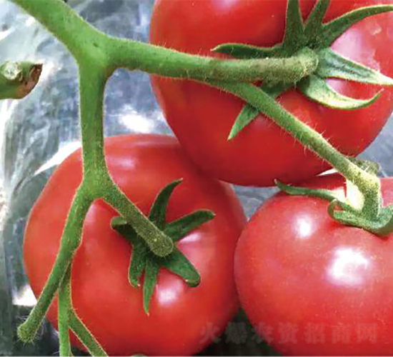 �hķ87-���ѷN��-�͝��r(n��ng)�I(y��)