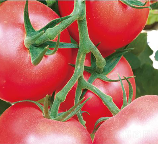 �hķ097-���ѷN��-�͝�(r��n)�r(n��ng)�I(y��)