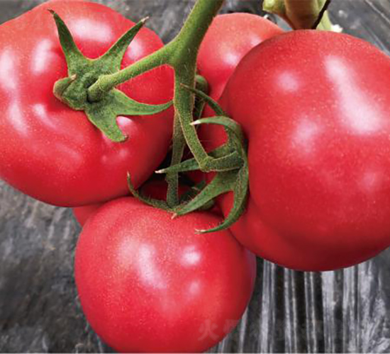 �hķ095-���ѷN��-�͝��r(n��ng)�I(y��)