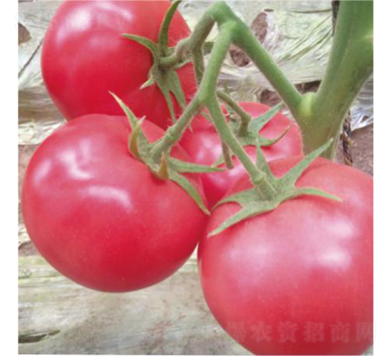 �hķ1350-���ѷN��-�͝��r(n��ng)�I(y��)