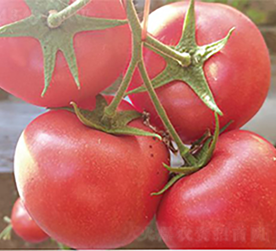 �hķ1391-���ѷN��-�͝��r(n��ng)�I(y��)