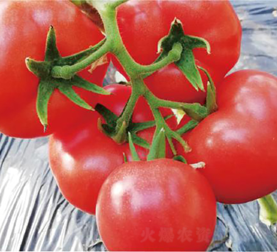 �hķ1377-���ѷN��-�͝�(r��n)�r(n��ng)�I(y��)