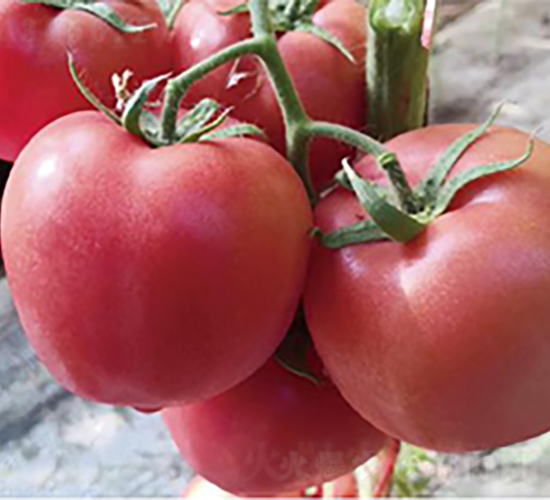 �hķ1157-���ѷN��-�͝�(r��n)�r(n��ng)�I(y��)