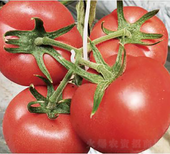 �hķ075-���ѷN��-�͝��r(n��ng)�I(y��)