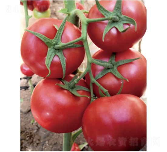 ̩��501-���ѷN��-�͝��r(n��ng)�I(y��)