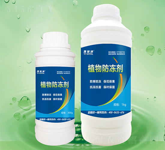 ֲ�������-��ʩ�{