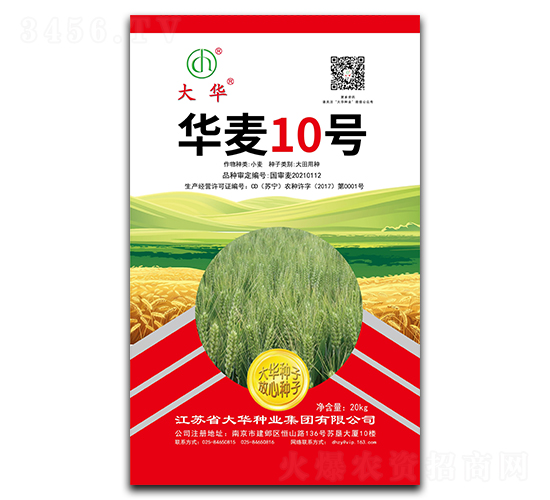 �A��10̖-С���N��-���A�N�I(y��)