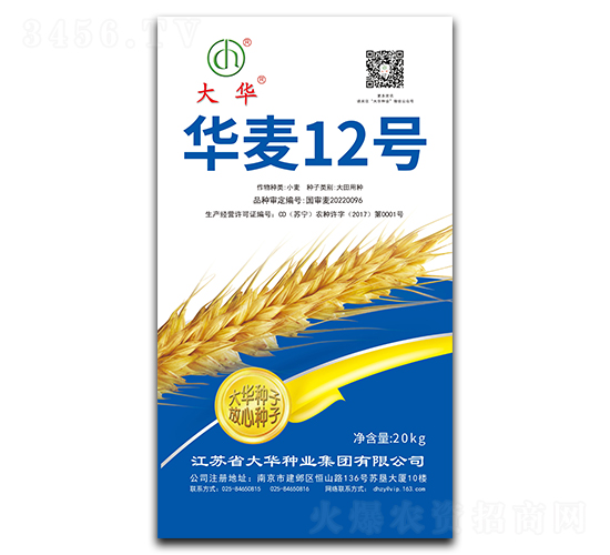 華麥12號-小麥種子-大華種業(yè)