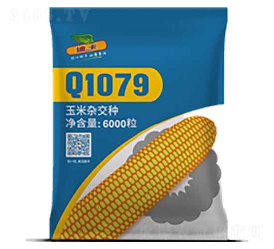 Q1079-���׷N��