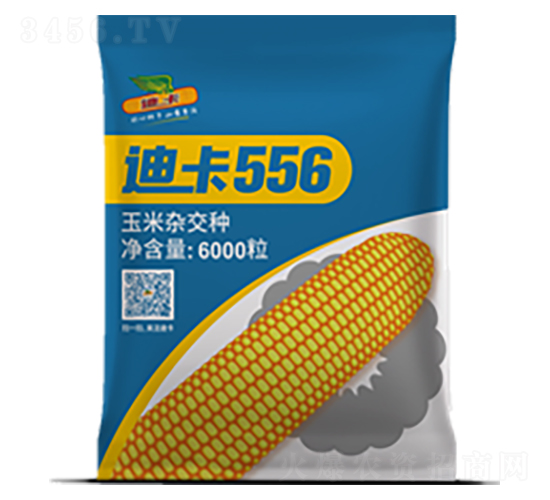 �Ͽ�556-���׷N��