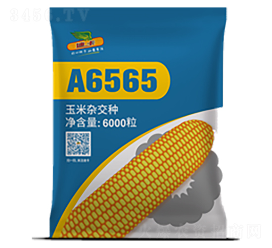 A6565-���׷N��