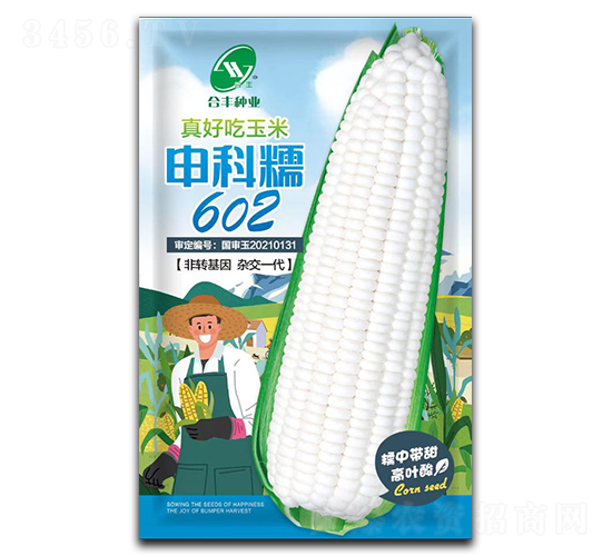 ���Ŵ602-���׷N��-���S�N�I(y��)