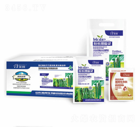 ���L(zh��ng)�����`-嫰�����