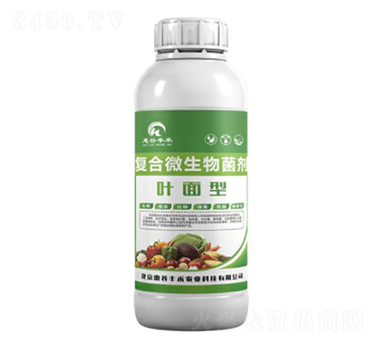 �~���͏�(f��)��΢�������-�ݹ��S��