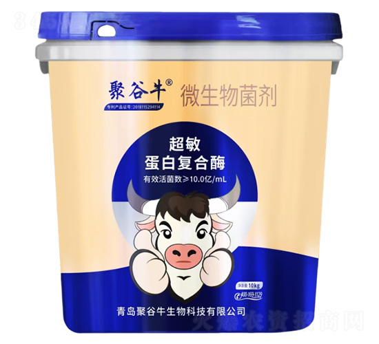 10�|�������׏�(f��)��ø΢�������-�۹�ţ