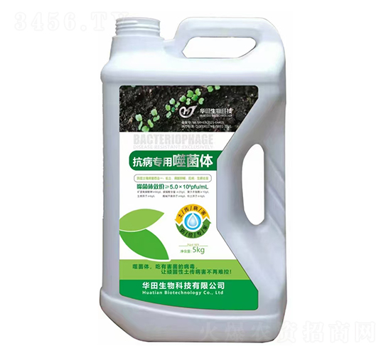 ���������ɾ��w-�A������