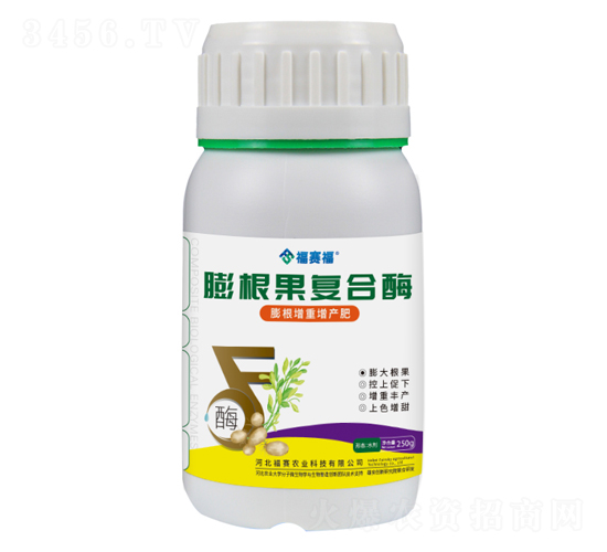 �������(f��)��ø-��ِ��