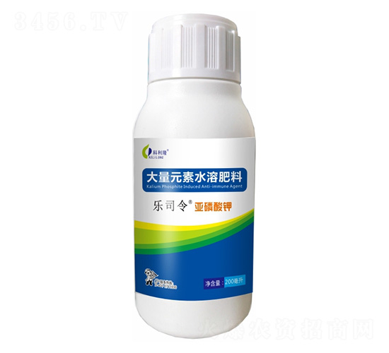 �������-��(l��)˾��-����¡����