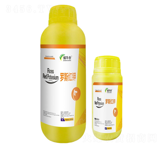 �_˹�t�-���A��