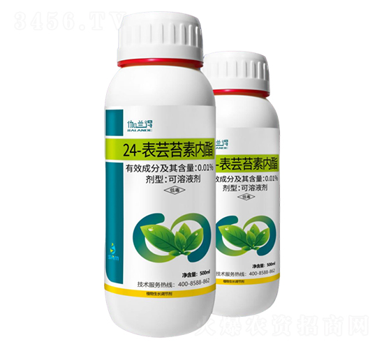 0.01%24-���|̦�؃�(n��i)��-���A��