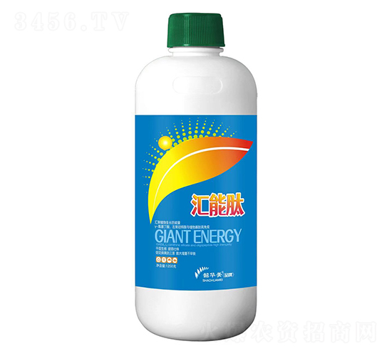 �R����-���A��