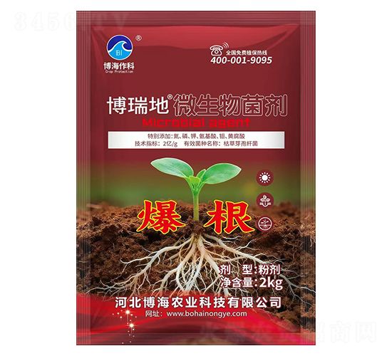 微生物菌劑(爆根)-博瑞地-博海作科