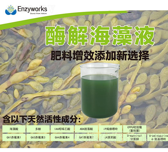 ø�⺣��Һ-��������