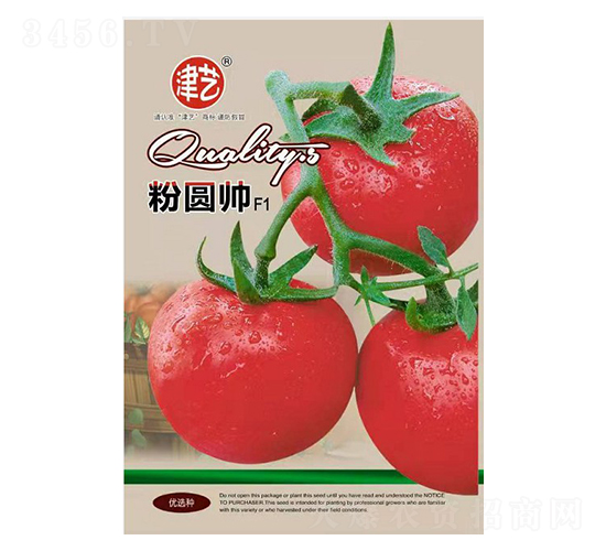 番茄種子-粉圓帥-邯豐農(nóng)業(yè)