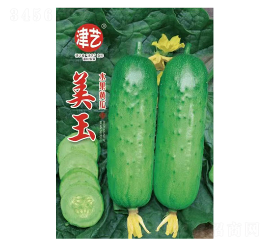 黃瓜種子-美玉-邯豐農(nóng)業(yè)