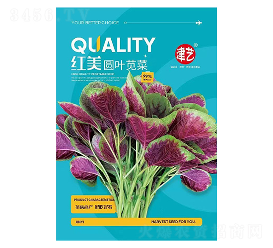 莧菜種子-紅美圓葉莧菜-邯豐農(nóng)業(yè)
