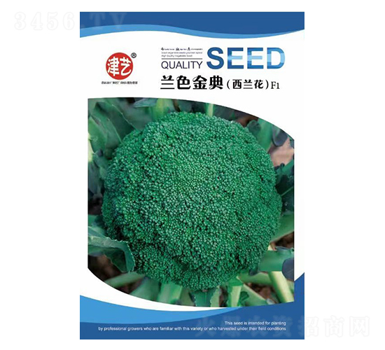 花菜種子-蘭色金典-邯豐農(nóng)業(yè)