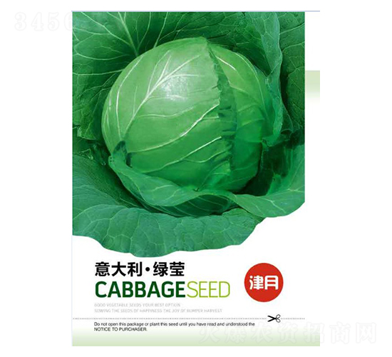 甘藍(lán)種子-意大利綠瑩-邯豐農(nóng)業(yè)