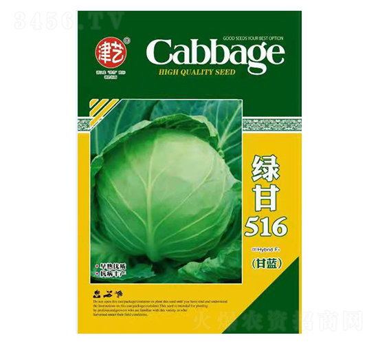 甘藍(lán)種子-綠甘516-邯豐農(nóng)業(yè)