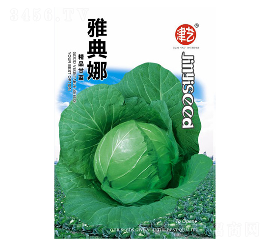 甘藍(lán)種子-雅典娜-邯豐農(nóng)業(yè)