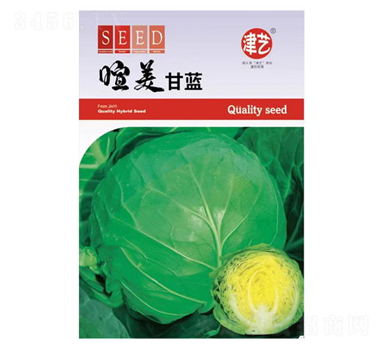 甘藍(lán)種子-喧美甘藍(lán)-邯豐農(nóng)業(yè)